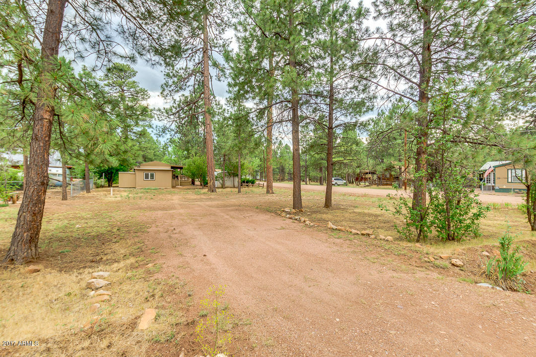 2887 Long Rifle Place Overgaard, AZ 85933 - Photo 33 of 36 33 - OVERALL VIEW
