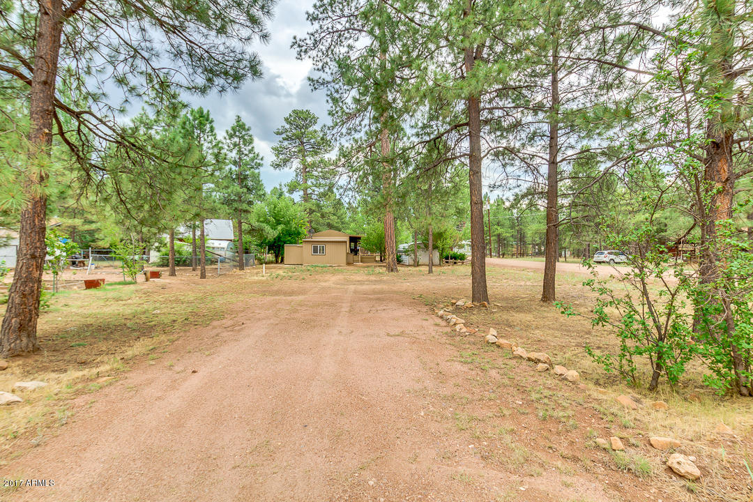 2887 Long Rifle Place Overgaard, AZ 85933 - Photo 34 of 36 34 - VIEW