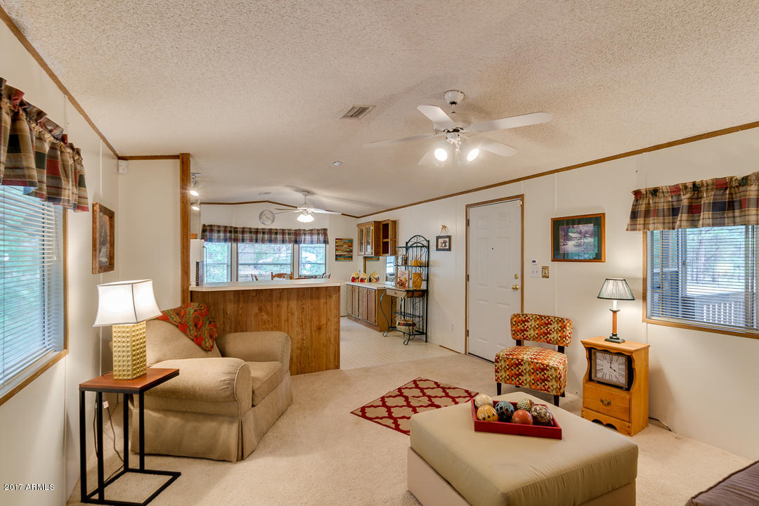 2887 Long Rifle Place Overgaard, AZ 85933 - Photo 6 of 36 6 - SPACIOUS