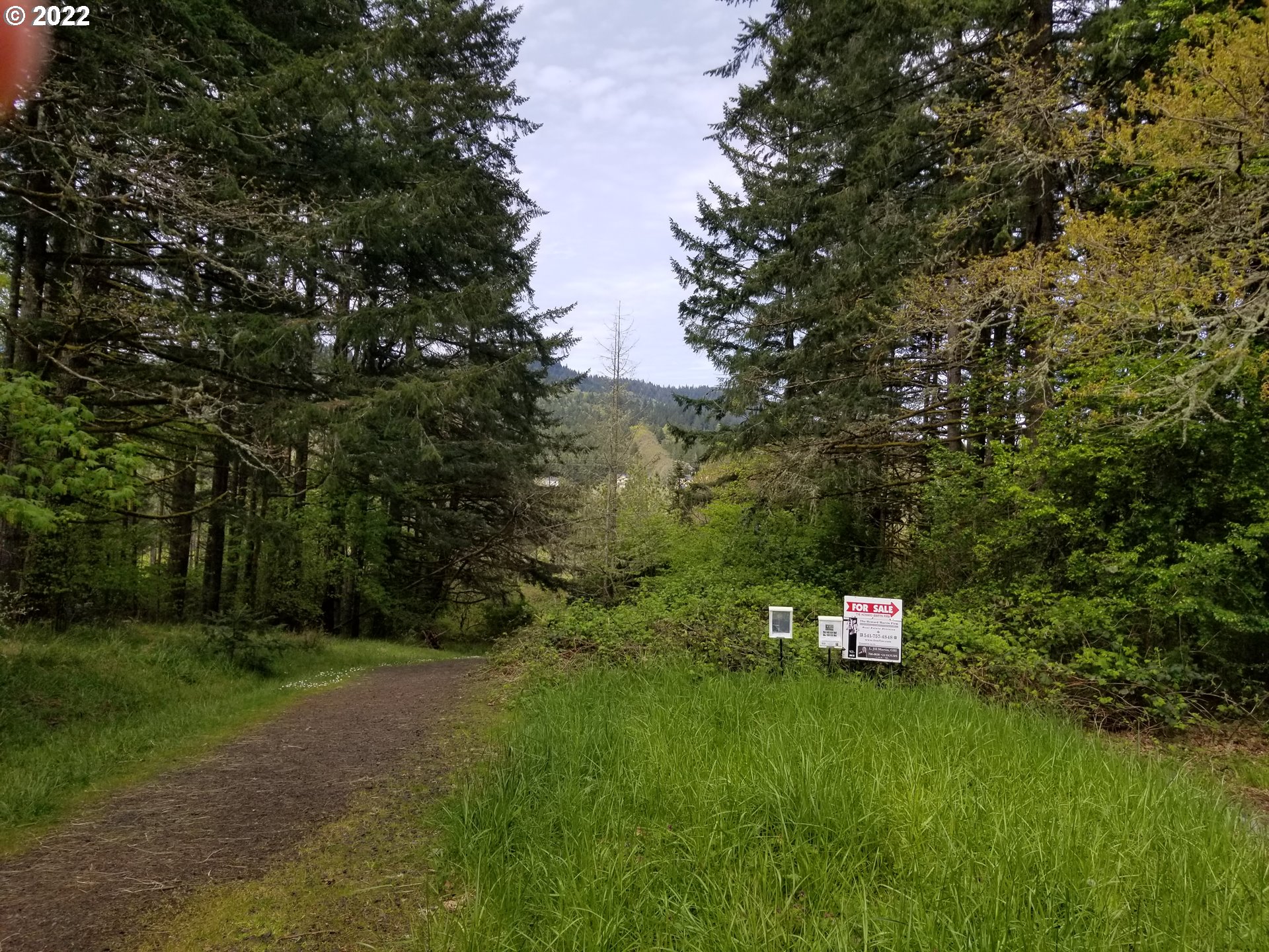 a view of a tiny house with a yard