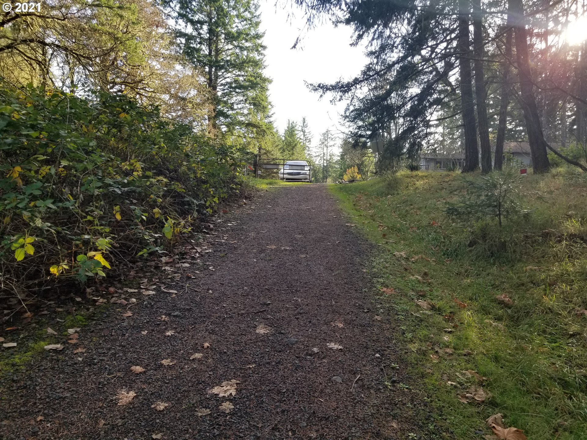 2655 Northwest Foothill Drive Corvallis, OR 97330 - Photo 18 of 31 a view of a forest with trees in the background