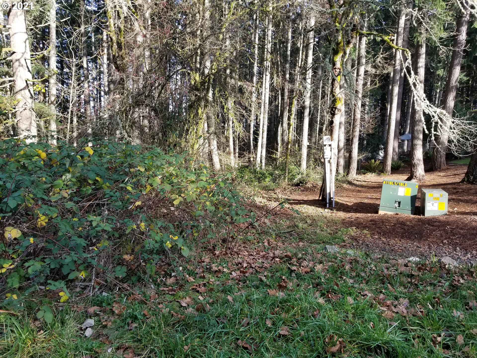 2655 Northwest Foothill Drive Corvallis, OR 97330 - Photo 20 of 31 a backyard of a house with lots of green space and fountain