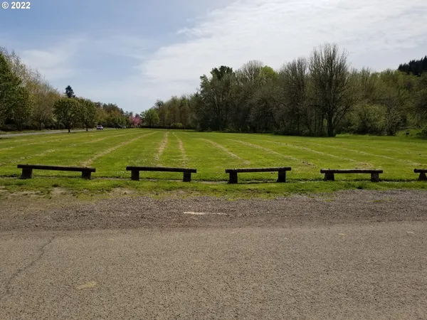 a view of a yard with plants and trees