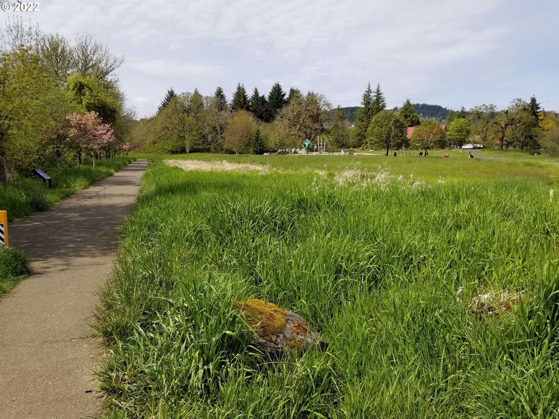 2655 Northwest Foothill Drive Corvallis, OR 97330 - Photo 25 of 31 a view of a lush green space