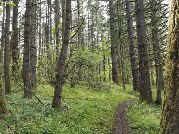 a view of a pathway both side of yard