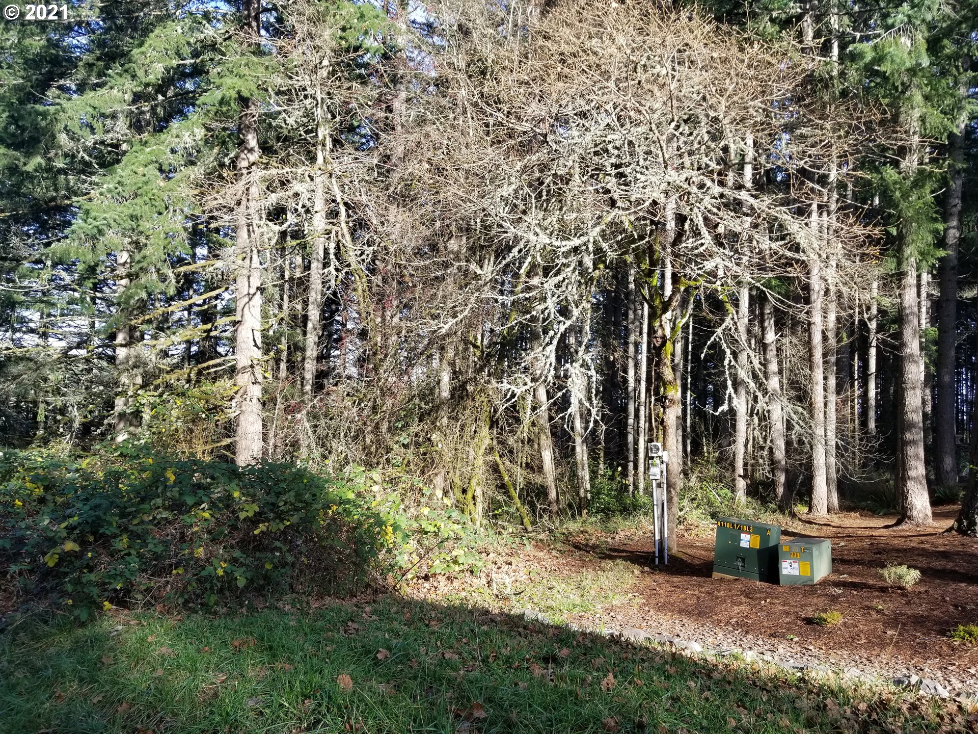2655 Northwest Foothill Drive Corvallis, OR 97330 - Photo 6 of 31 a view of a house with a tree