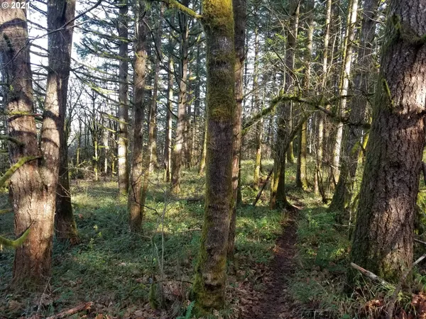 a view of backyard with green space