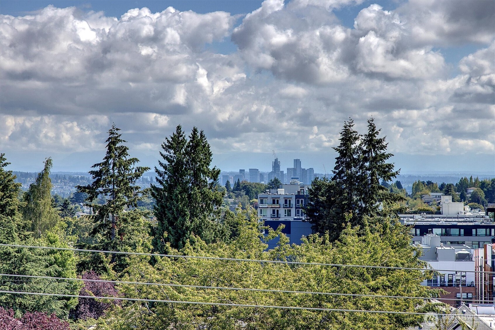 1421 19th Avenue, Unit D Seattle, WA 98122 - Photo 22 of 37