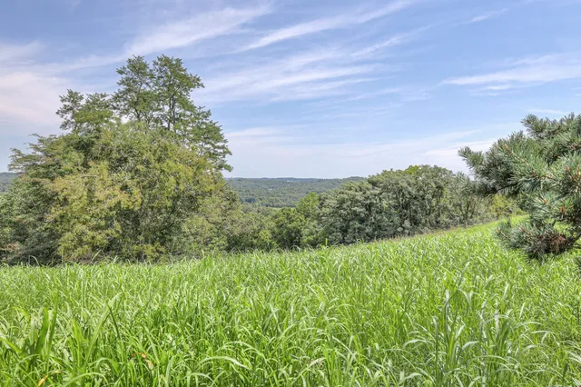 a view of a house with a backyard and a tree