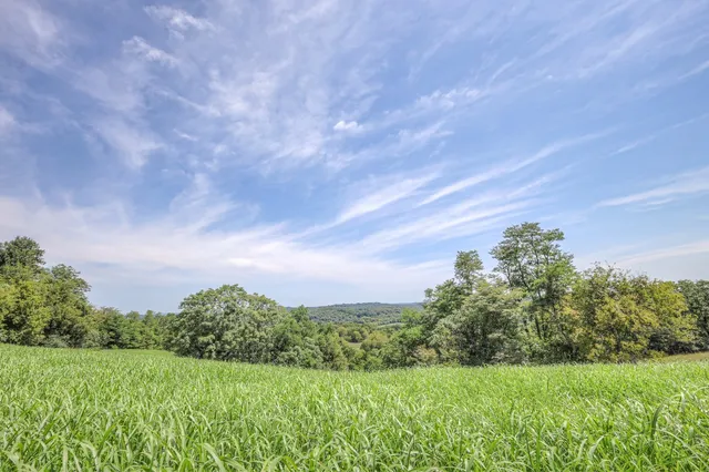 a view of lake with green space