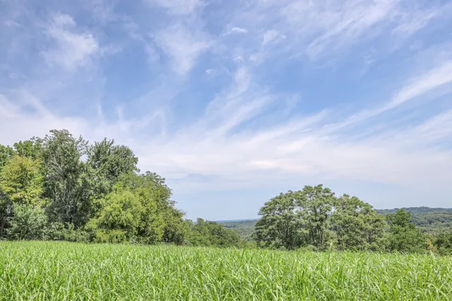 a view of wooden floor and a chandelier fan in a room
