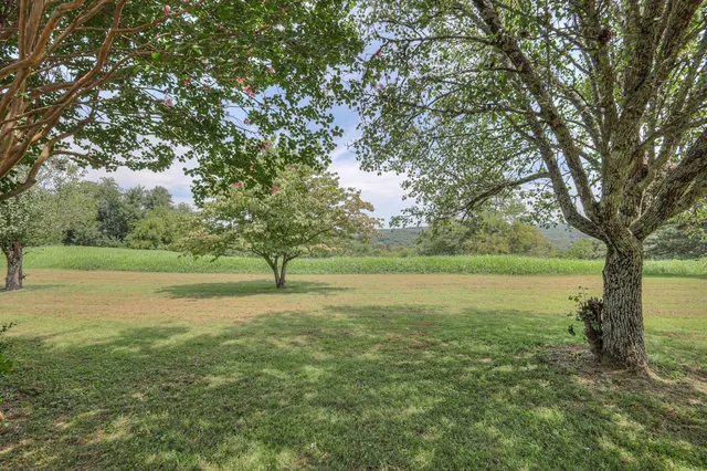 a kitchen with a sink window and cabinets