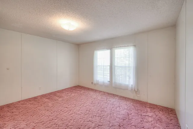 a view of a field with a tree