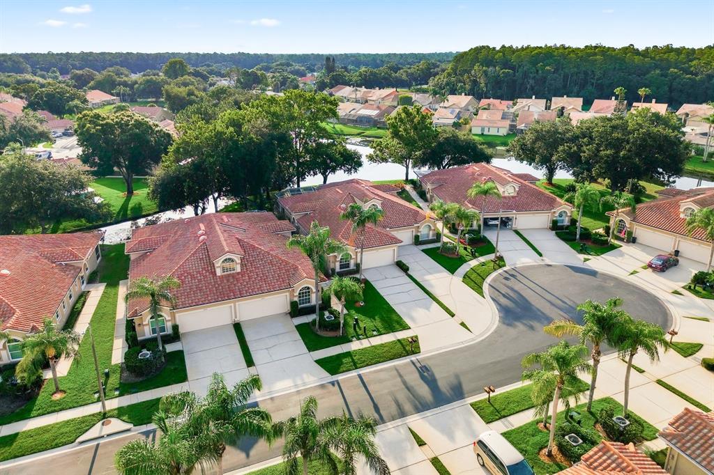 3857 Timber Ridge Court Palm Harbor, FL 34685 - Photo 51 of 56