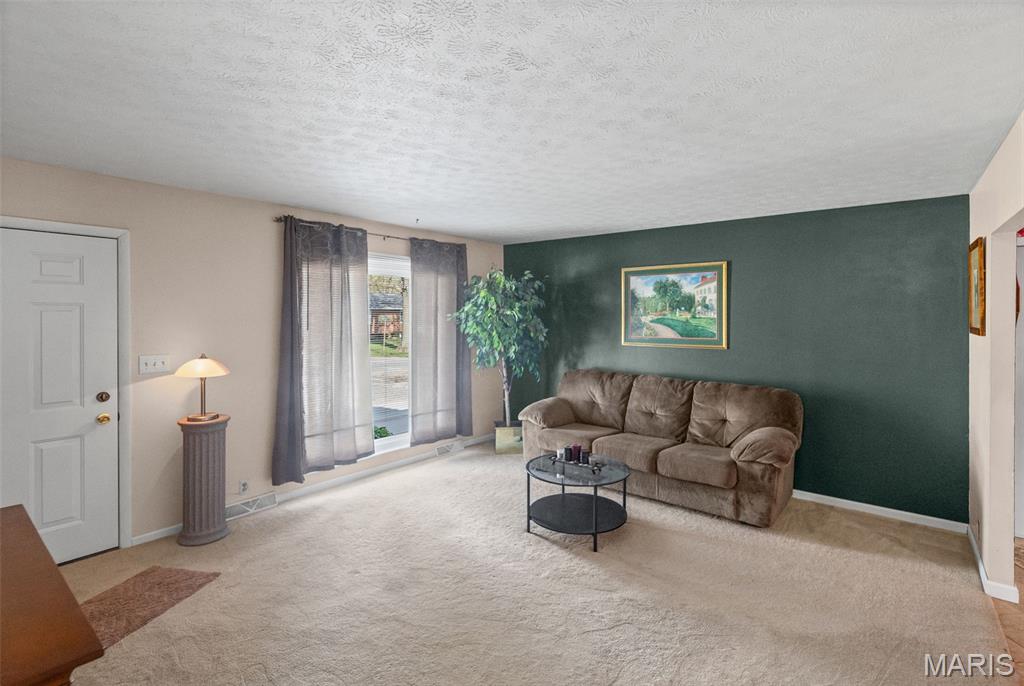 14 Dee Street Moro, IL 62067 - Photo 7 of 23