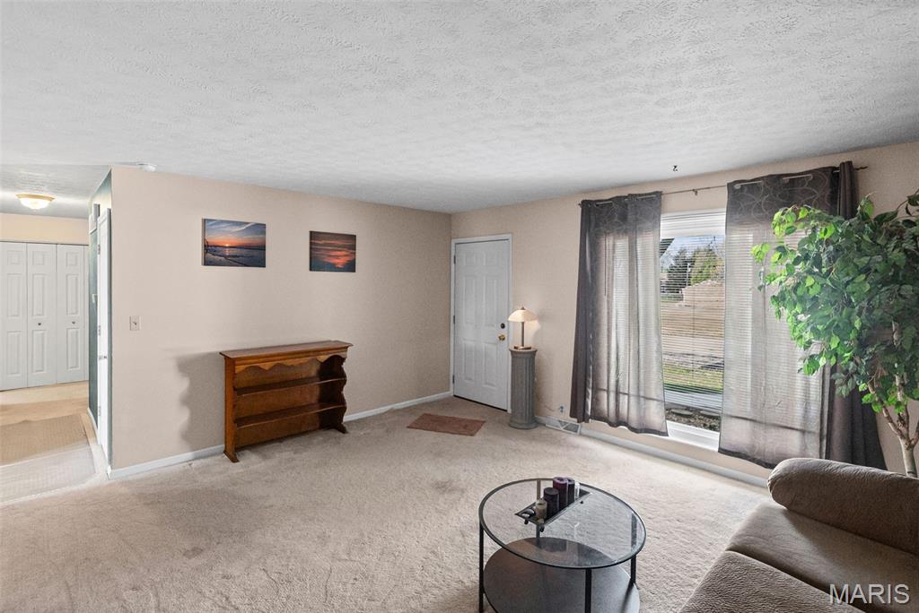 14 Dee Street Moro, IL 62067 - Photo 8 of 23