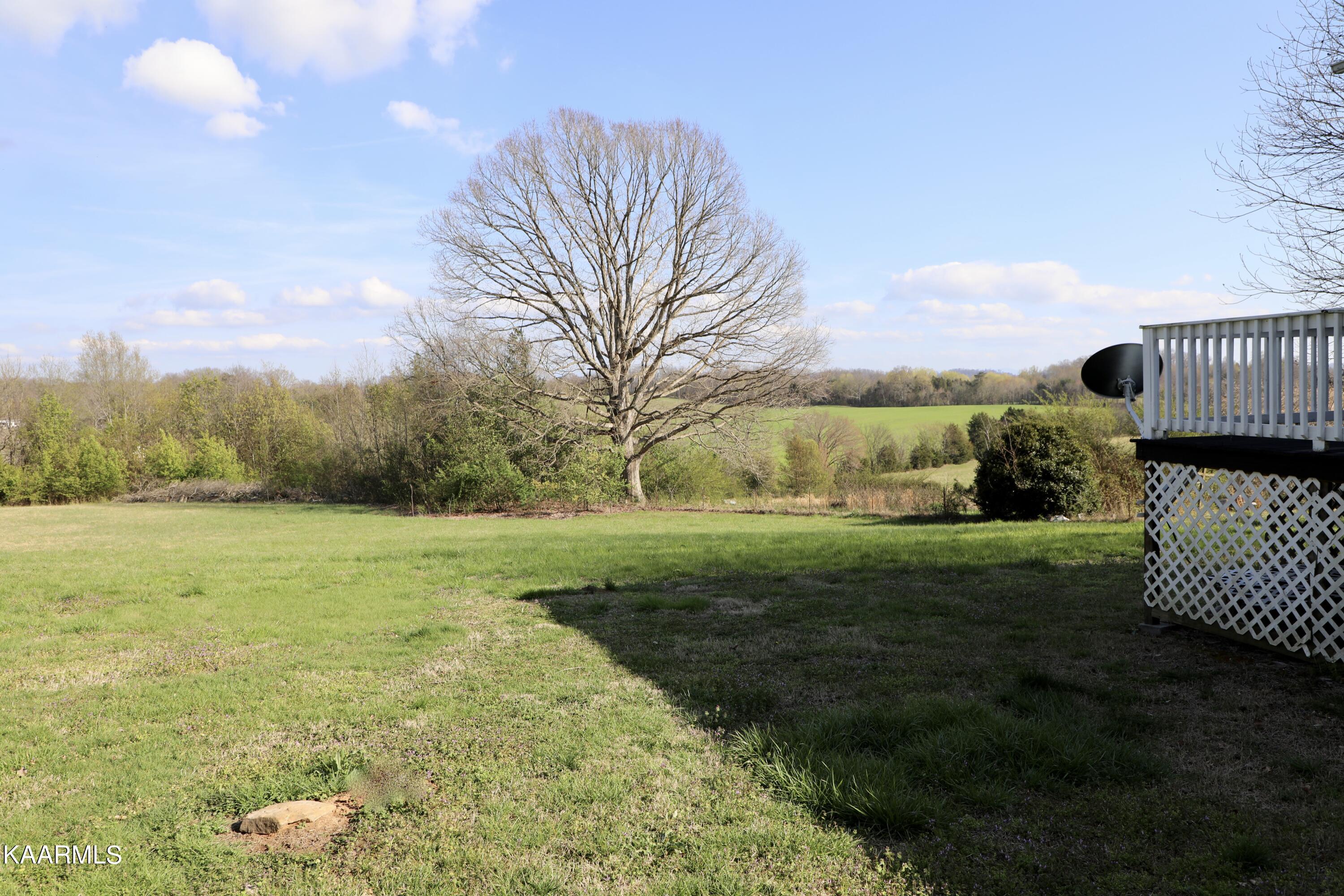 342 Glenlock Road Sweetwater, TN 37874 - Photo 5 of 14 Back Yard