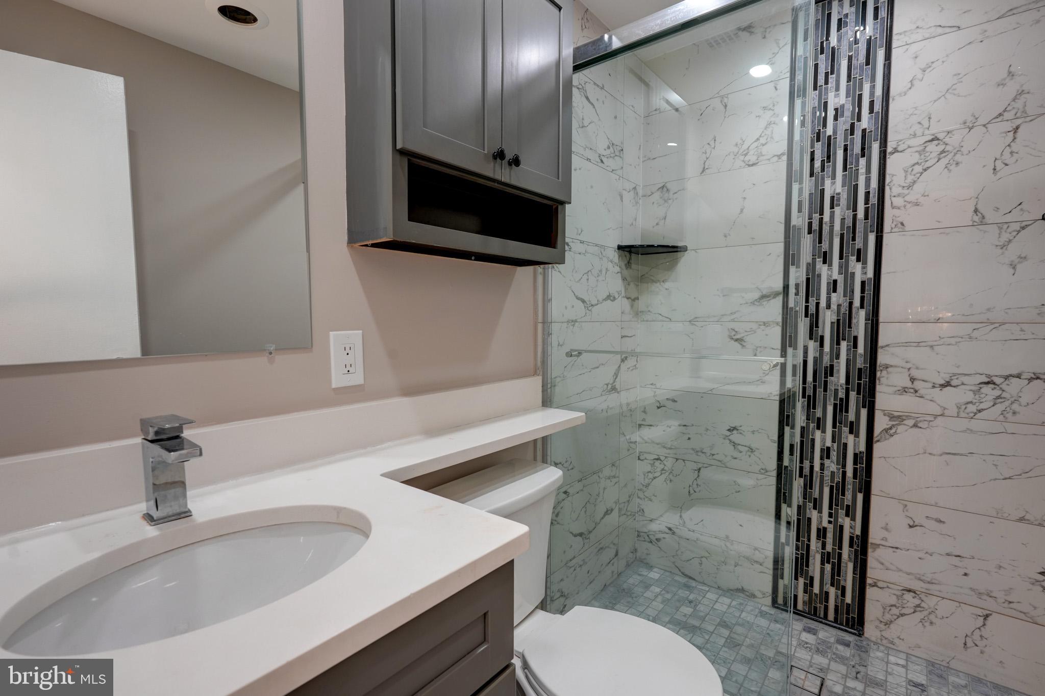 1900 Lyttonsville Road, Unit 211 Silver Spring, MD 20910 - Photo 28 of 46 a bathroom with a sink a toilet and shower