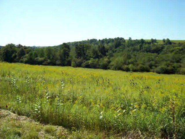 Turkey City Road Knox, PA 16232 - Photo 1 of 1 Main View