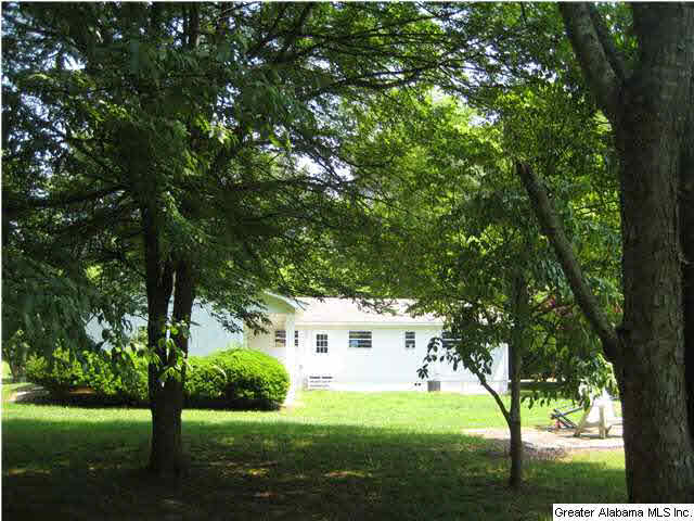 420 Happy Hollow Road Odenville, AL 35120 - Photo 6 of 23