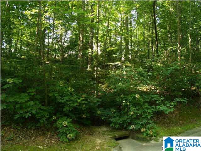 Lot 2 Hollow Road, Unit 2 Hayden, AL 35079 - Photo 1 of 13
