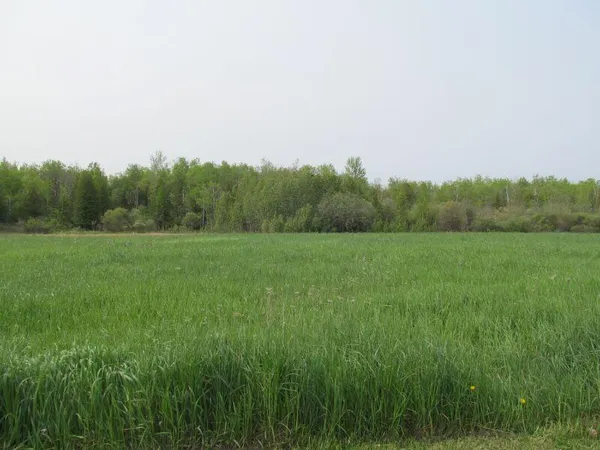 $17,900 | Lot #10 Hemlock Street, McBain, MI 49657