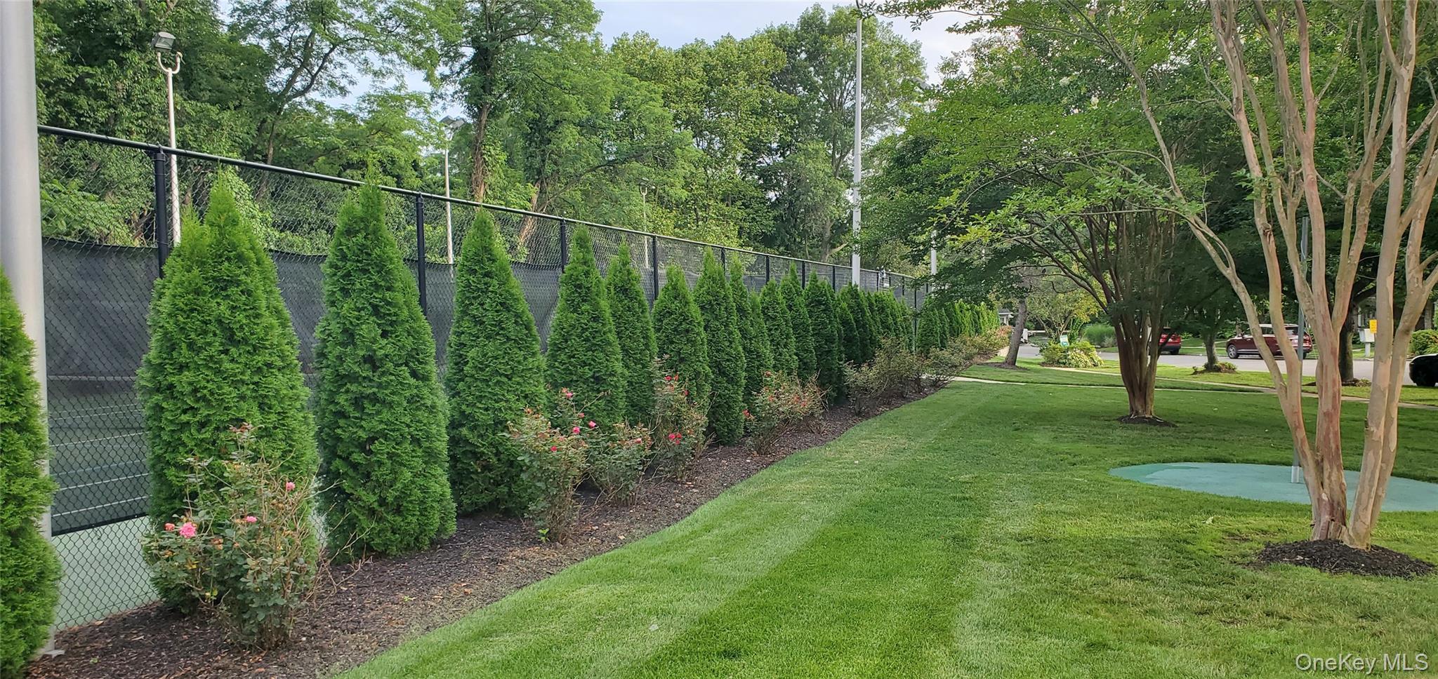175 The Vale Syosset, NY 11791 - Photo 5 of 6 Lighted Tennis courts