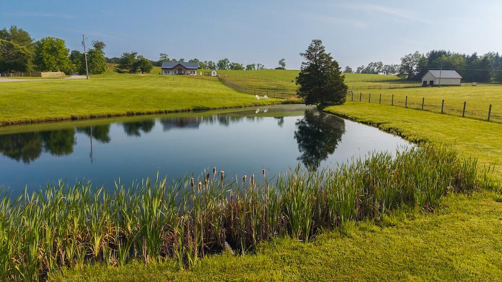 a view of a lake with a yard