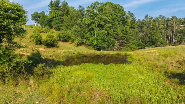 a view of a swimming pool and outdoor space