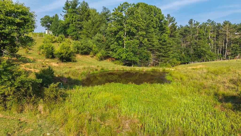 2822 Huffville Road Pilot, VA 24138 - Photo 50 of 92 51