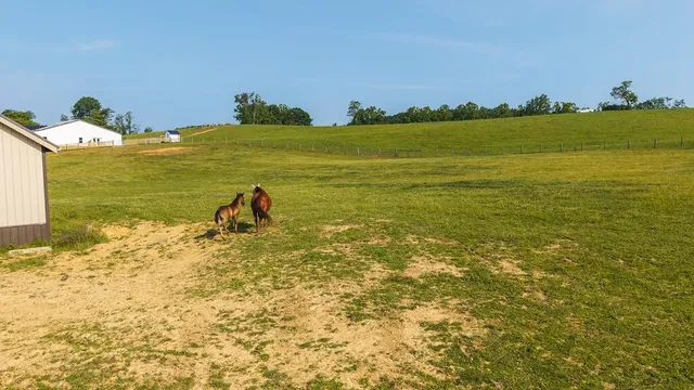 $1,499,000 | 2822 Huffville Road, Pilot, VA 24138