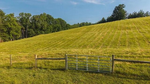 a kitchen with stainless steel appliances white cabinets and wooden floor