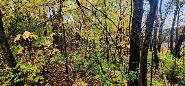 $16,000 | 13 Lakeview Drive, New Era, MI 49446