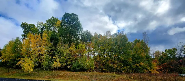 $16,000 | 13 Lakeview Drive, New Era, MI 49446