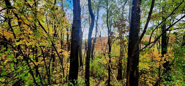 $16,000 | 13 Lakeview Drive, New Era, MI 49446