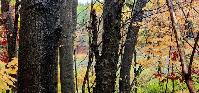 $16,000 | 13 Lakeview Drive, New Era, MI 49446