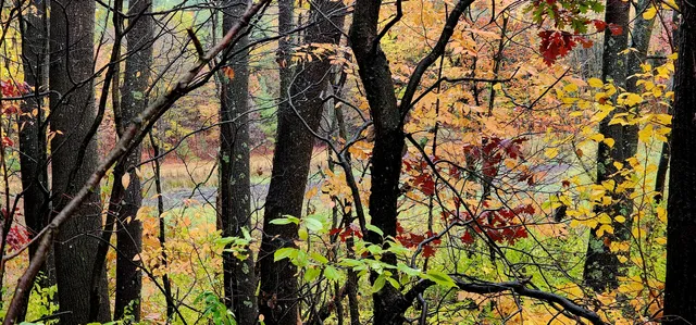 $16,000 | 13 Lakeview Drive, New Era, MI 49446