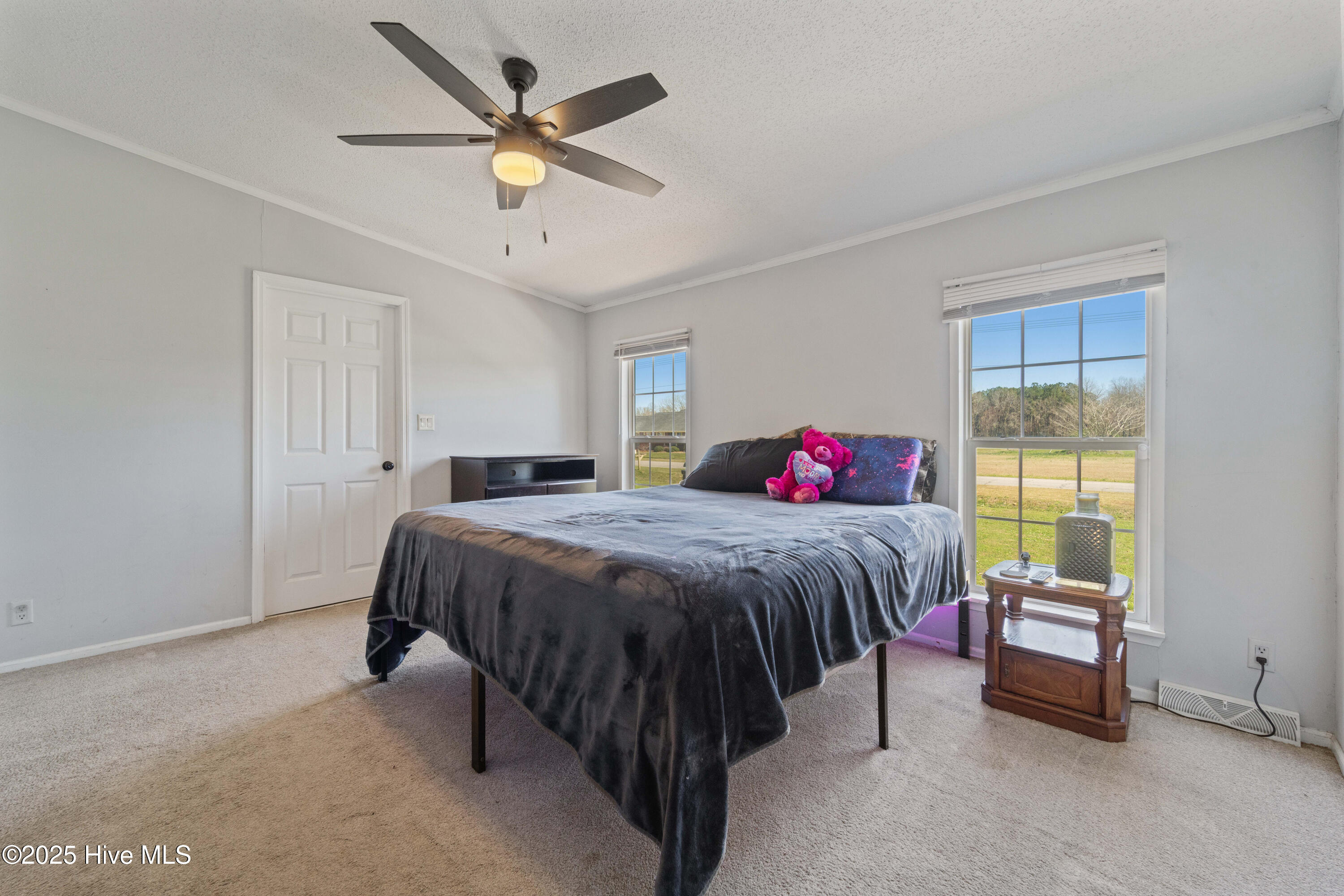 384 Futrell Road Richlands, NC 28574 - Photo 28 of 48 DSC05343