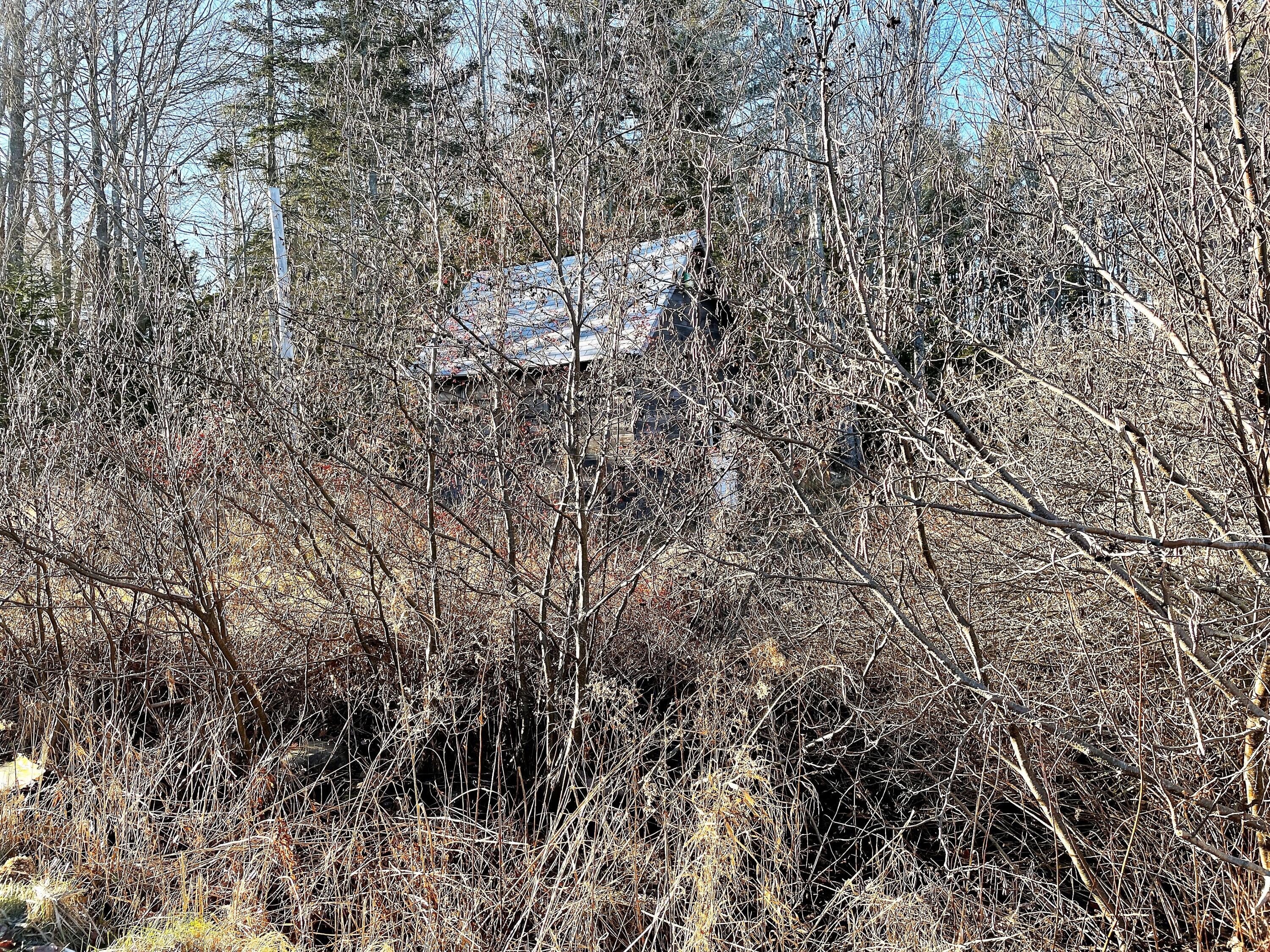 0 Gilbert Farm Road Bar Harbor, ME 04609 - Photo 3 of 4 tainterpic3