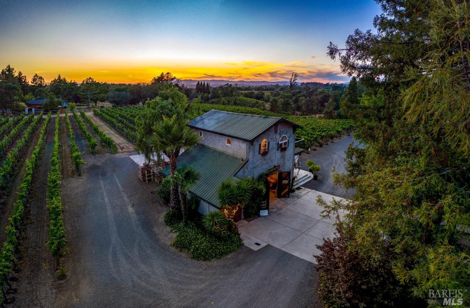 an aerial view of a house with a garden