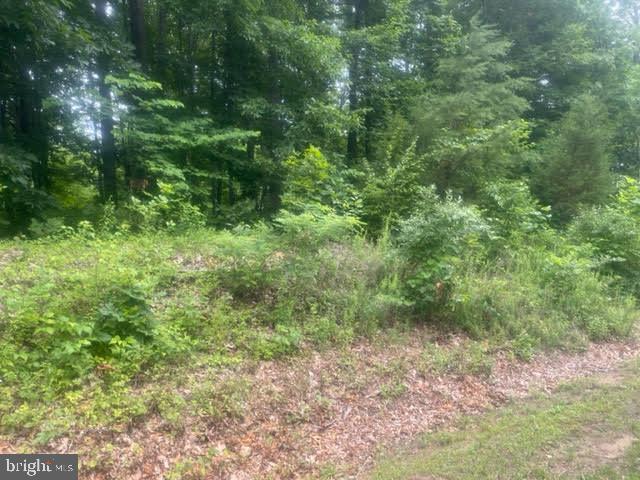 17121 Arrow Point Drive Orange, VA 22960 - Photo 7 of 9