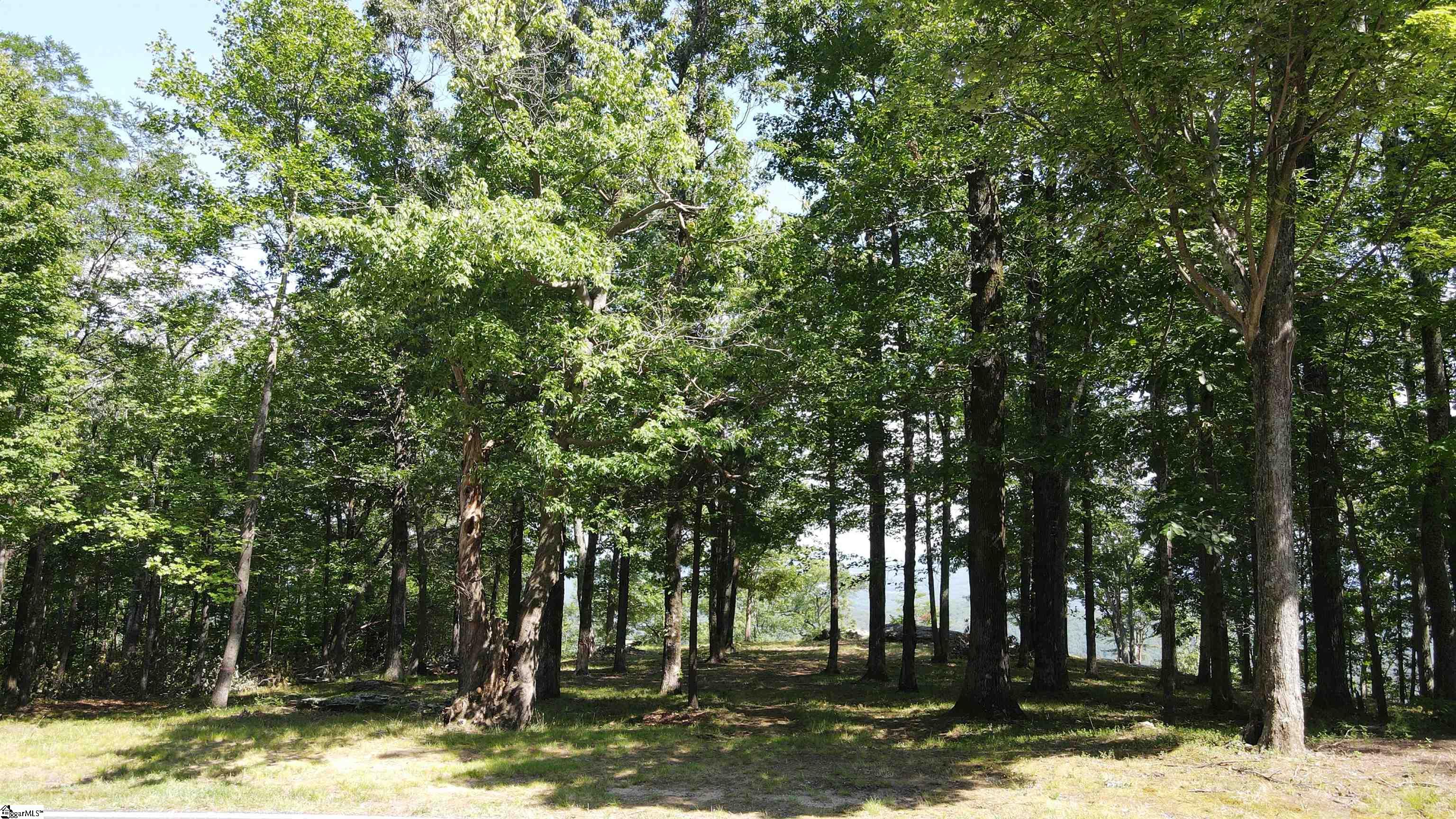 0 Southview Ledge Road, Unit LOT 62 Landrum, SC 29356 - Photo 22 of 34