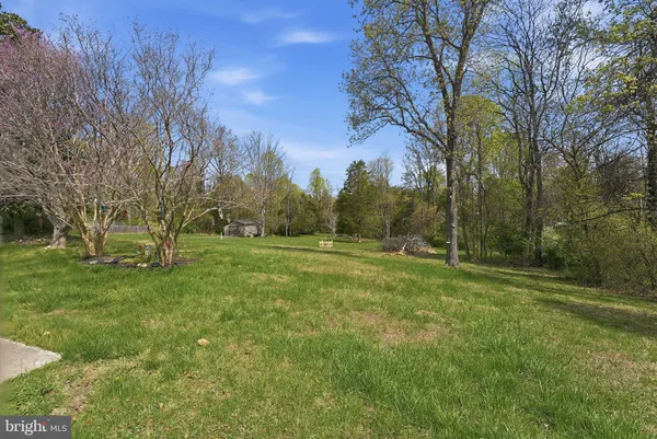 a view of field with trees