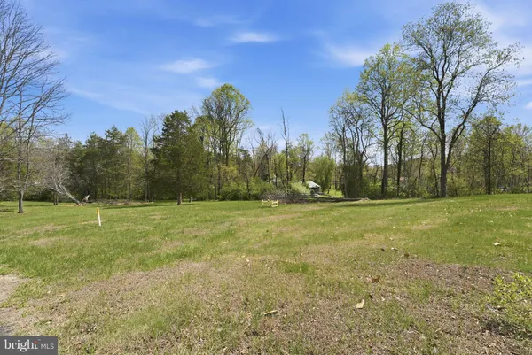 a view of a field with trees in the background