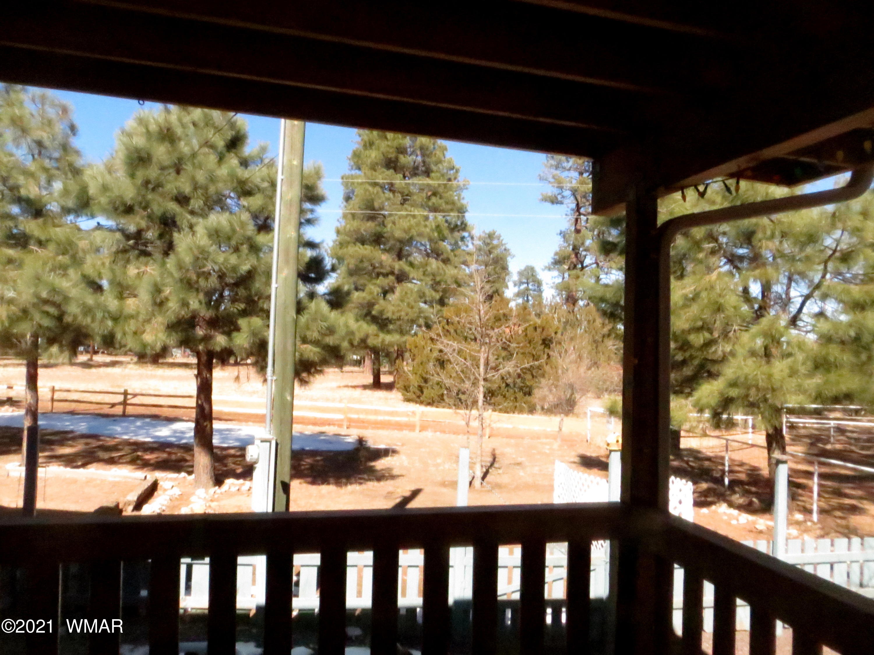 2921 Pine Rim Road Overgaard, AZ 85933 - Photo 31 of 38