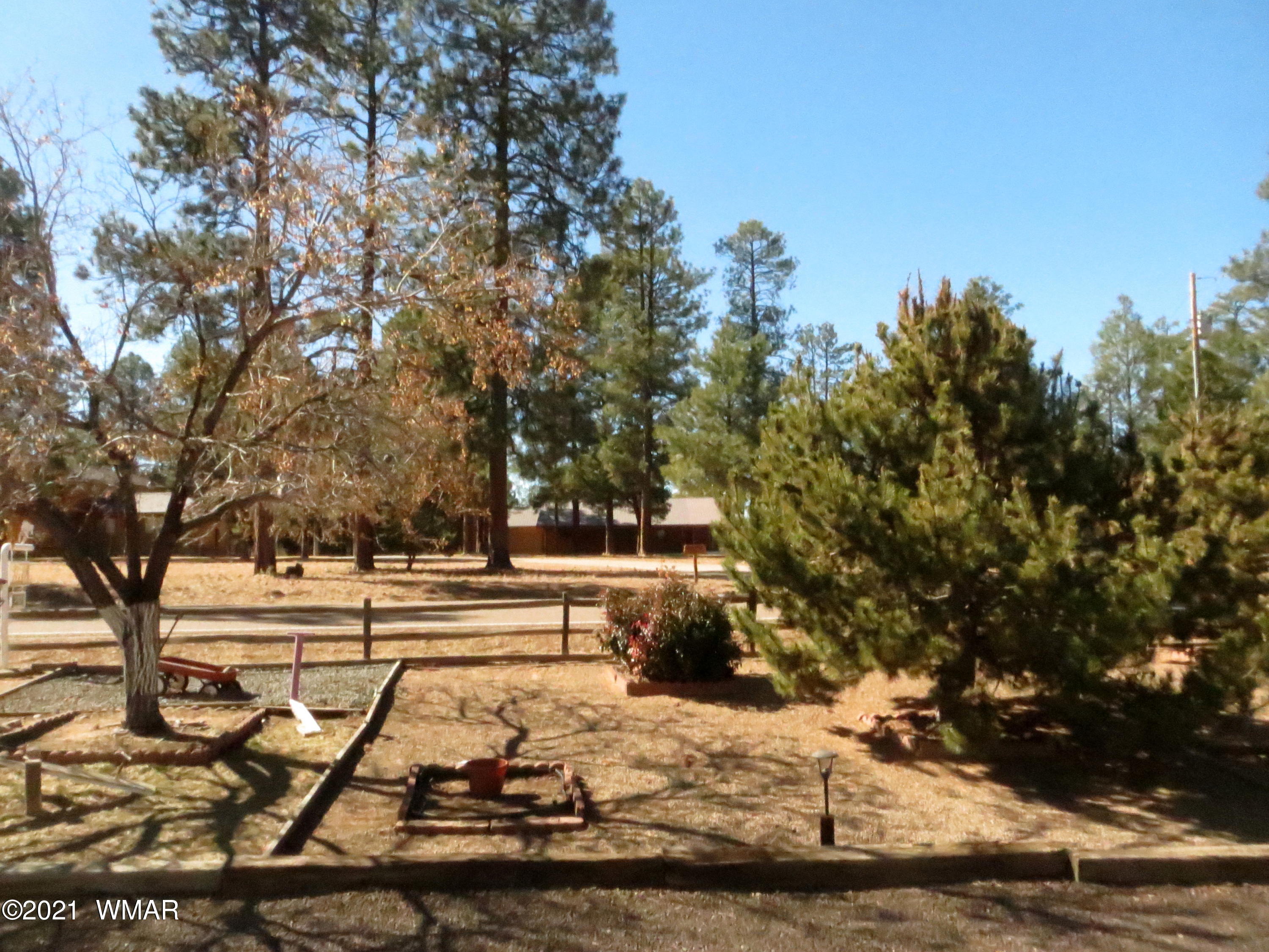 2921 Pine Rim Road Overgaard, AZ 85933 - Photo 35 of 38
