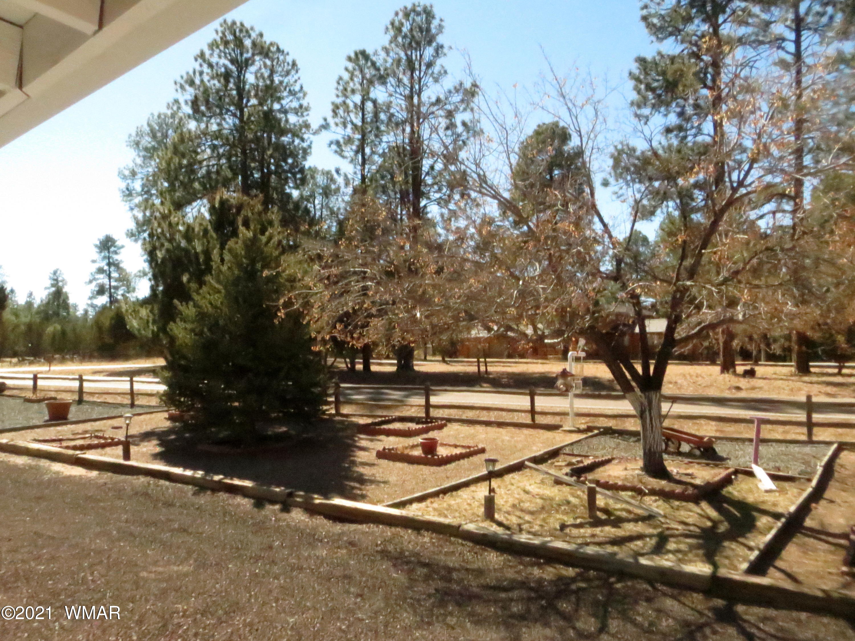 2921 Pine Rim Road Overgaard, AZ 85933 - Photo 36 of 38