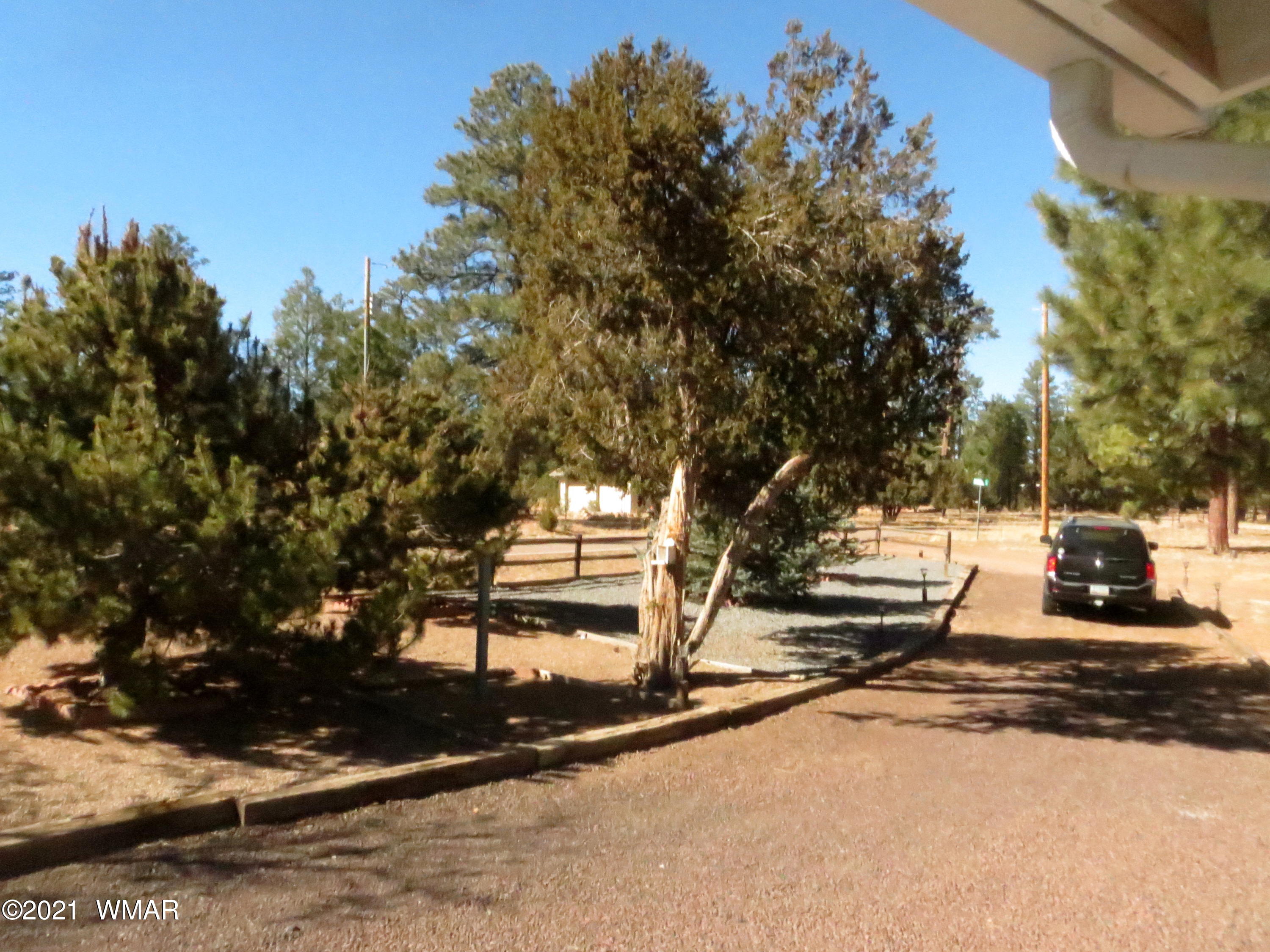 2921 Pine Rim Road Overgaard, AZ 85933 - Photo 37 of 38