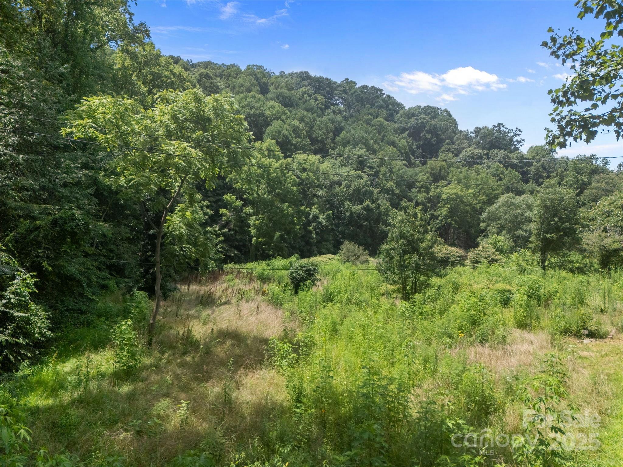 129 Franklin Road Swannanoa, NC 28778 - Photo 20 of 47