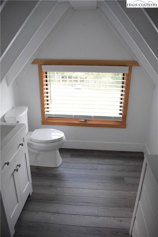 146 Trillium Ridge Boone, NC 28607 - Photo 37 of 41 a bathroom with a toilet a sink and a window